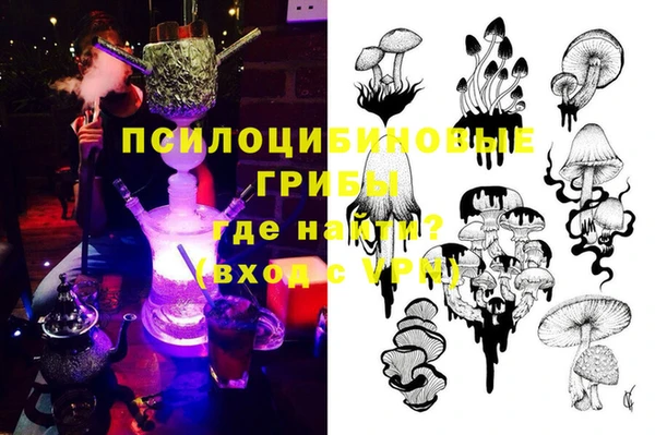 стафф Алексин