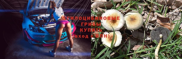 индика Алзамай