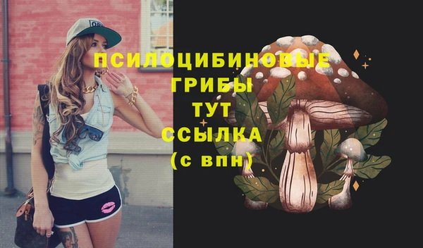 стафф Алексин