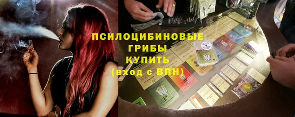 индика Алзамай