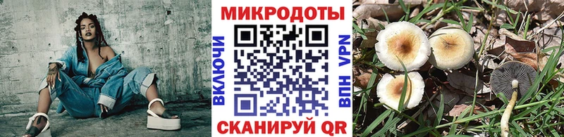 Галлюциногенные грибы мицелий  Павлово 