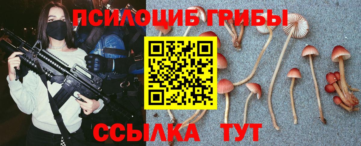 Галлюциногенные грибы ЛСД  где купить наркоту  Павлово  Вход с VPN 