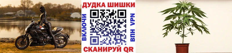Бошки марихуана SATIVA & INDICA  площадка как зайти  Павлово 
